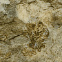 Cliff Stone Cliff Stone